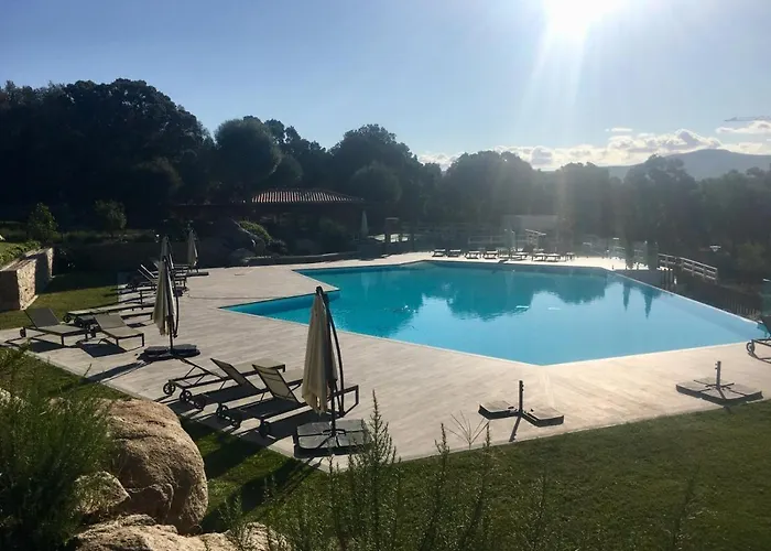 Domaine D'arca Vecchio - T2 - Rez De Jardin - 4 Personnes 